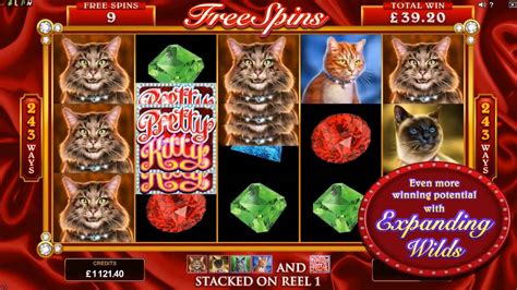 pretty kitty slots